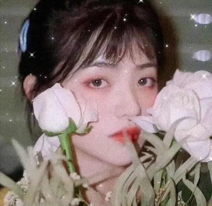 洪兴仔之江湖大风暴